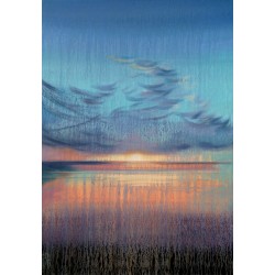 Sunset Afternoon