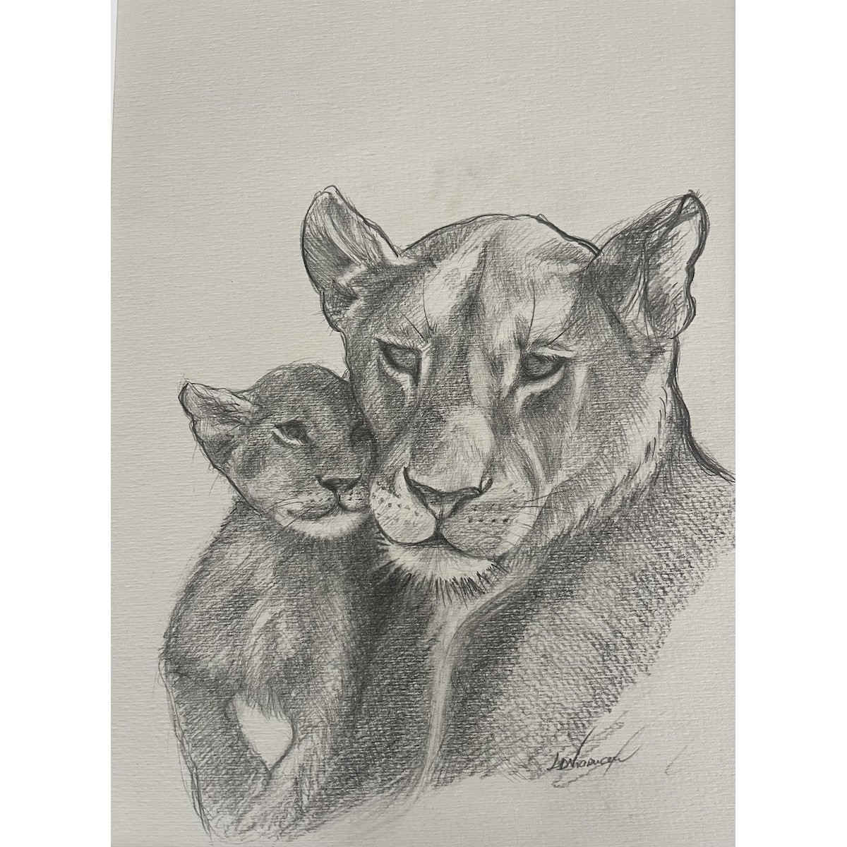 Lionne et son petit