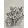 Lionne et son petit