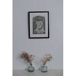 Lionne au repos