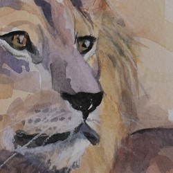 Lion bleu