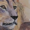 Lion bleu