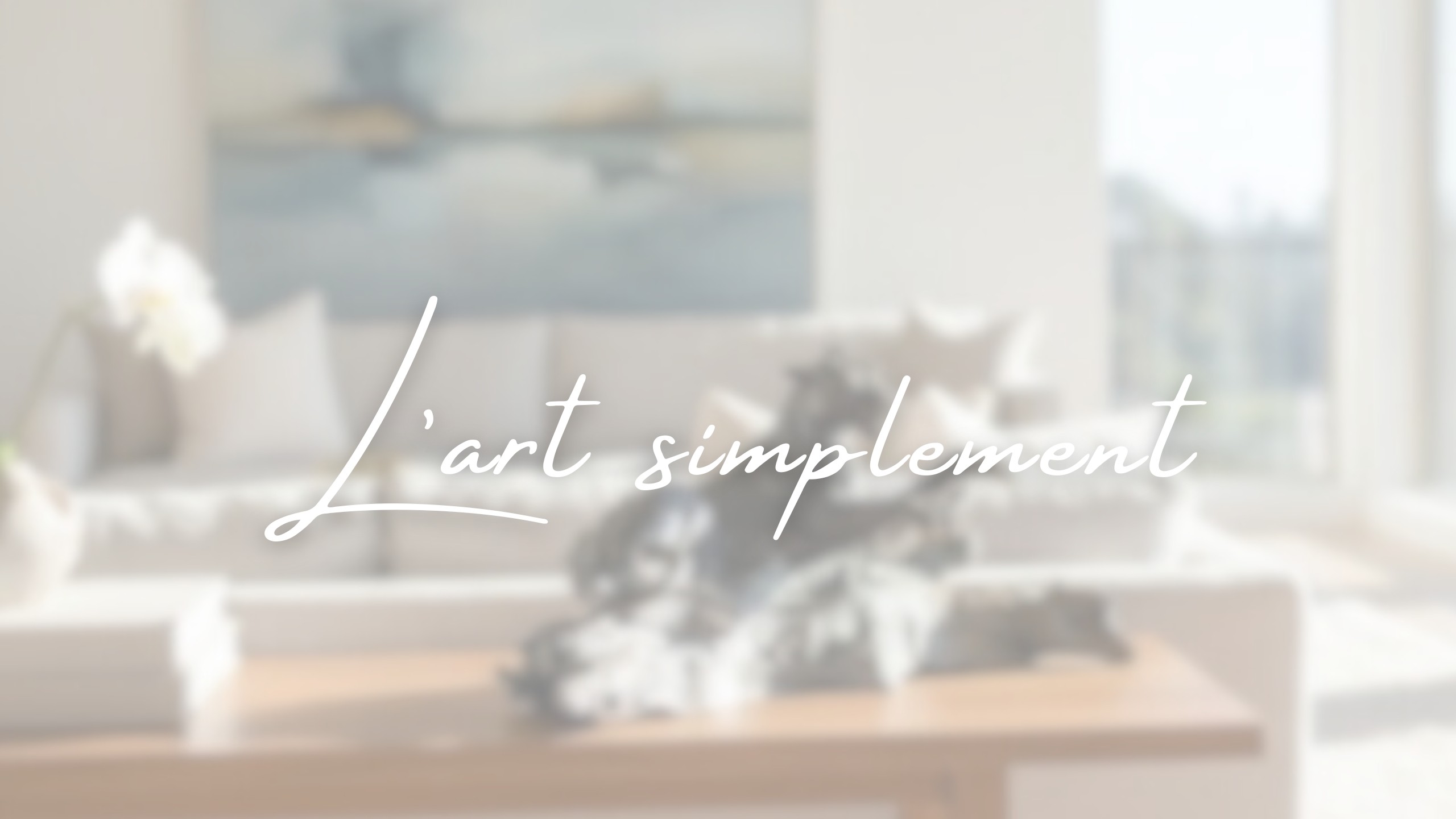 L'art simplement - vidéo